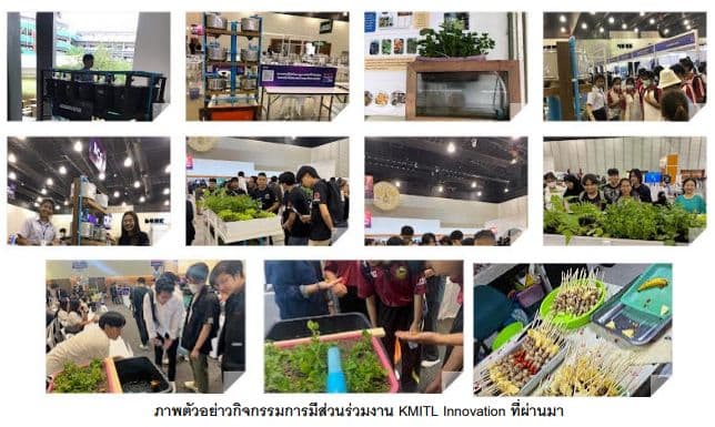 ผลิตภัณฑ์ต้นแบบแผ่นแกงเปรอะโปรตีนสูงจากหอยแอปเปิลสีทองอินทรีย์