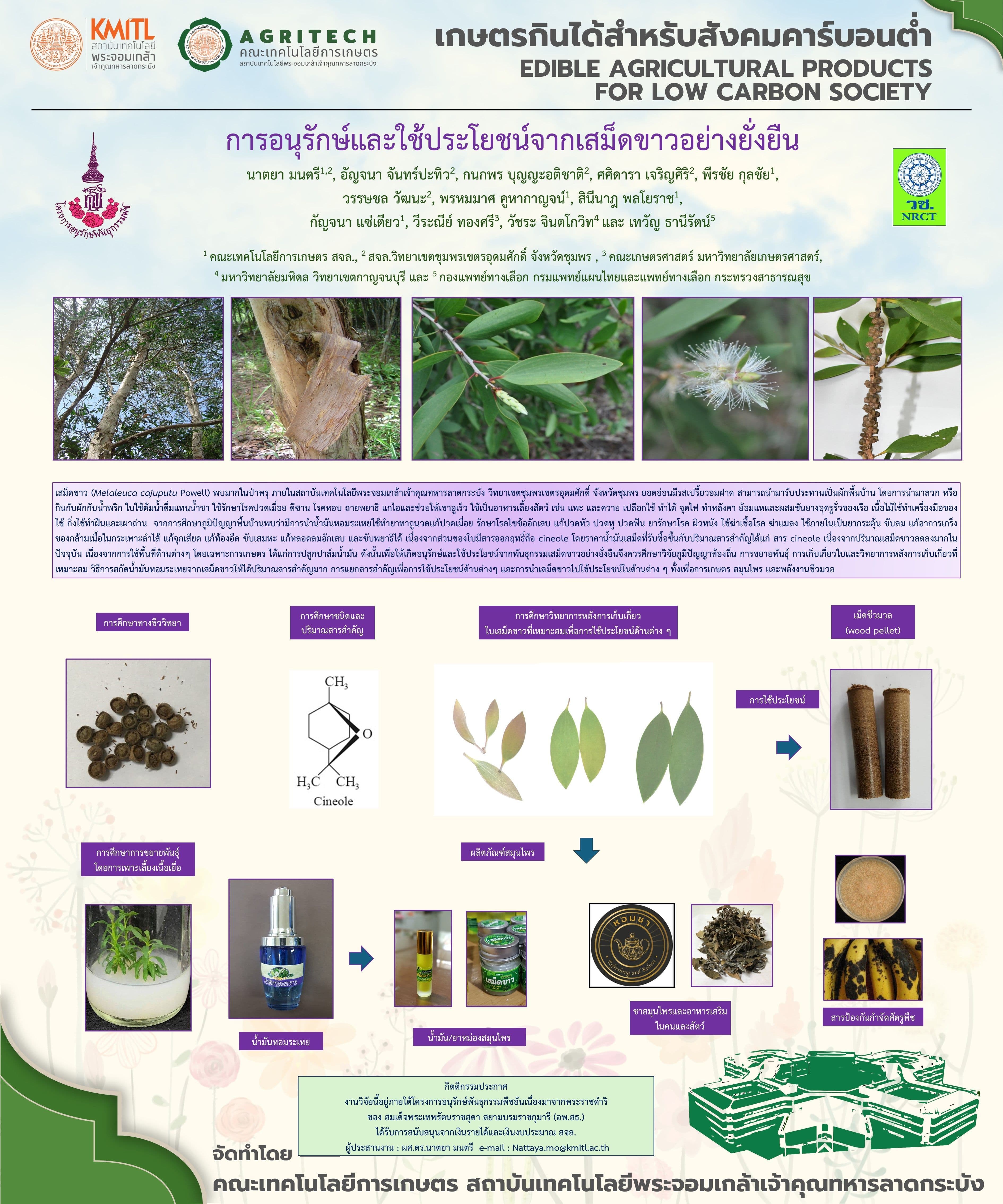 การอนุรักษ์และใช้ประโยชน์จากเสม็ดขาวอย่างยั่งยืน