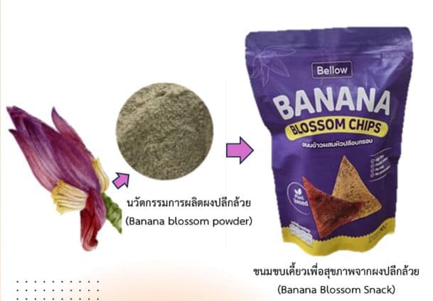 การพัฒนานวัตกรรมการผลิตผงปลีกล้วยเพื่อประยุกต์ใช้ในผลิตภัณฑ์ขนมขบเคี้ยวเพื่อสุขภาพ