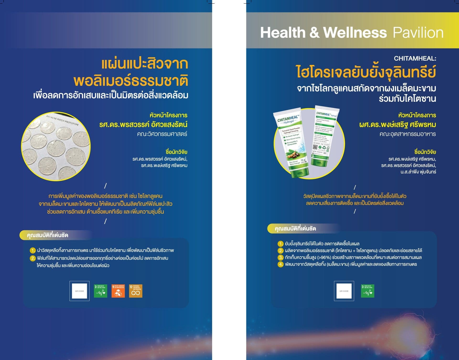 การพัฒนาผลิตภัณฑ์ไฮโดรเจลยับยั้งจุลินทรีย์จากไคโตซานและไซโลกลูแคนสกัดจากเมล็ดมะขามสำหรับด้านการแพทย์