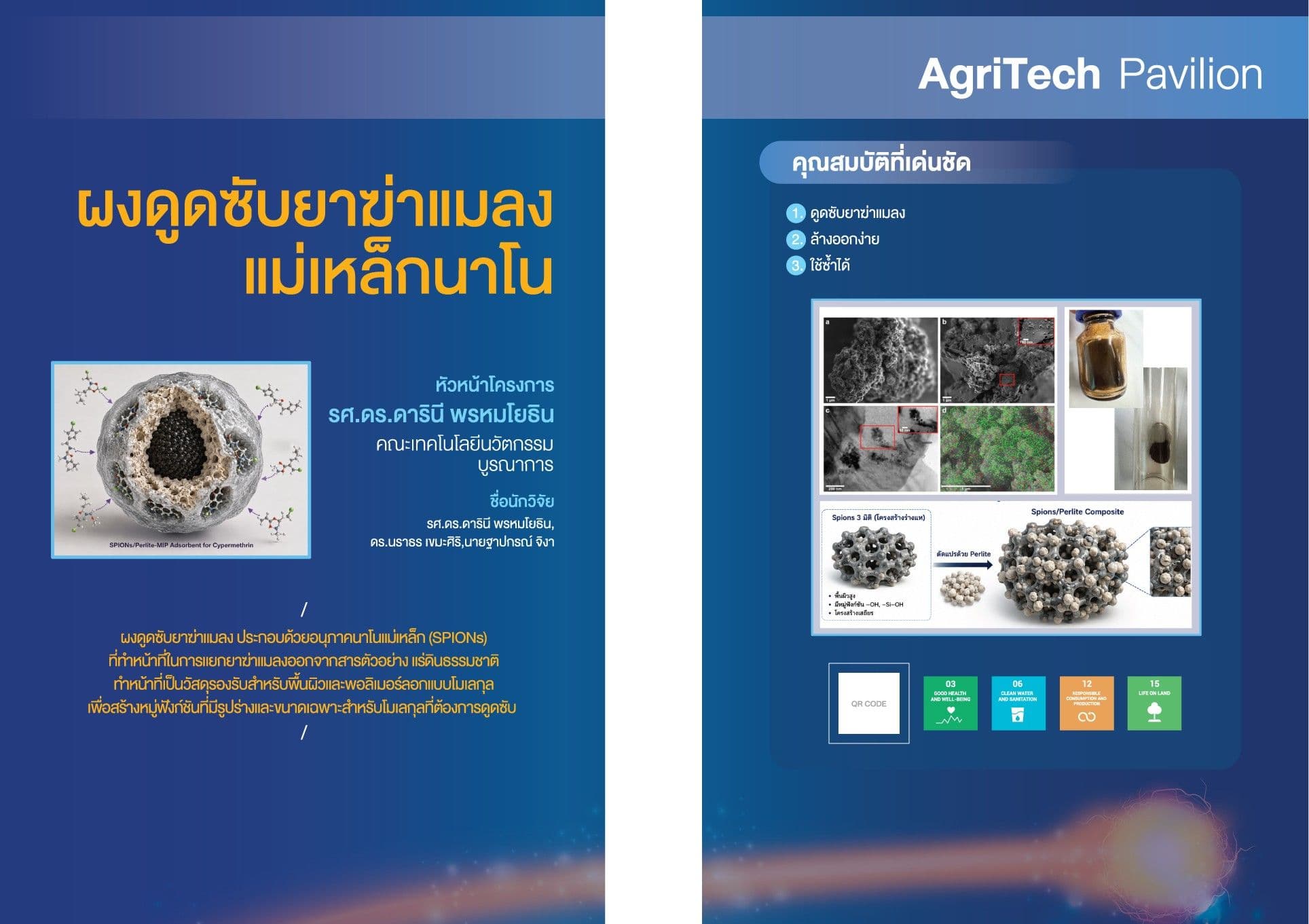 อนุภาคนาโนแม่เหล็กสำหรับดูดซับยาฆ่าแมลง